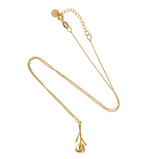 Bloom Evolution – Golden Heirloom