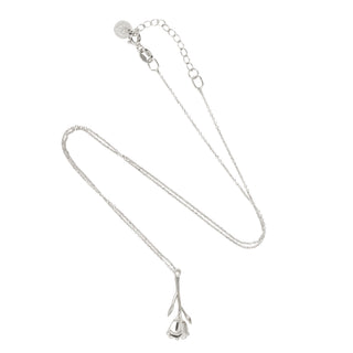 Bloom Evolution – Silver Heirloom