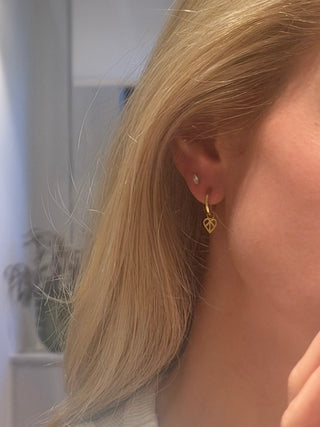 Little Love Hoops - Solar Gold